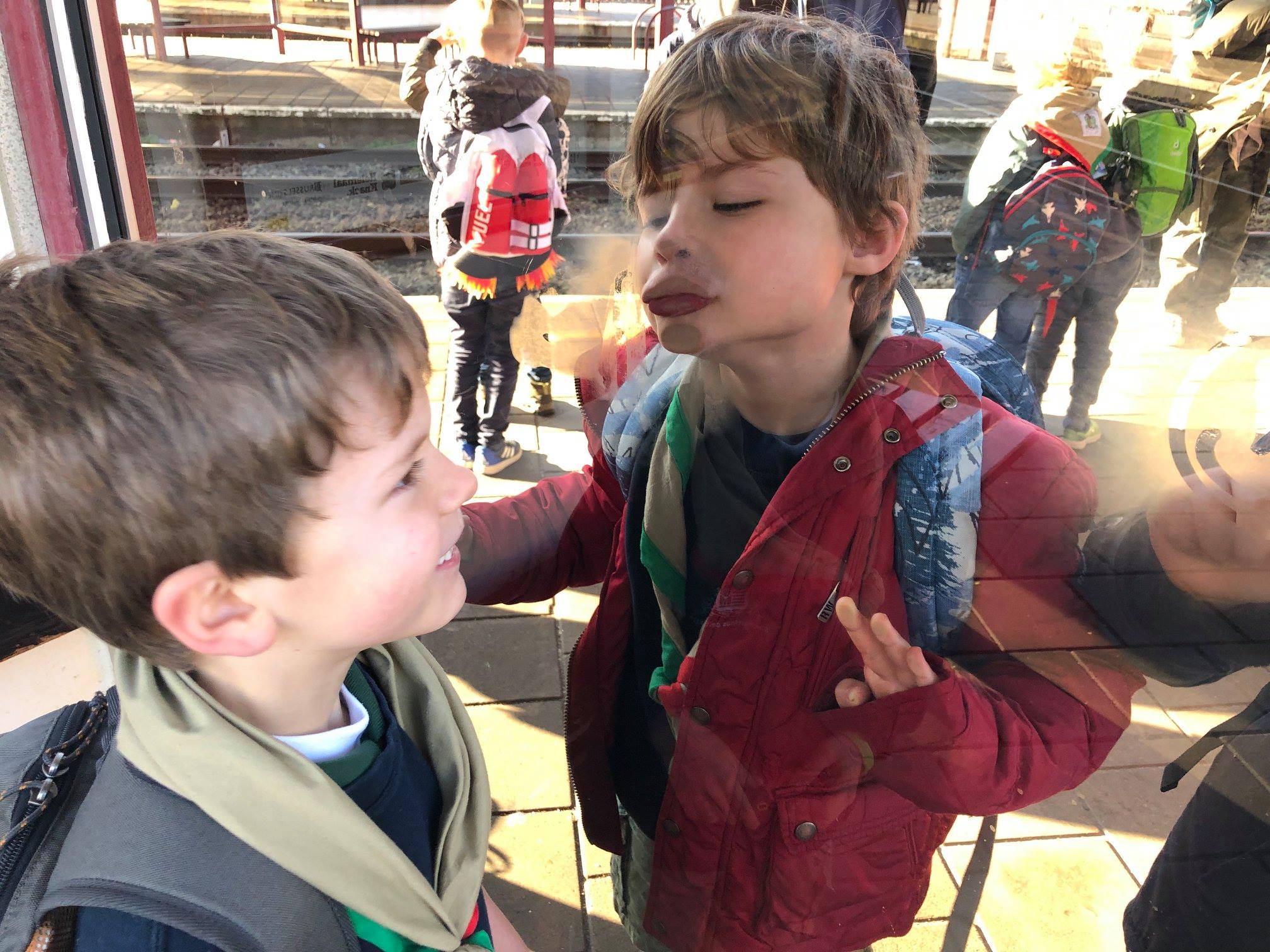 Sint-Martinus den XIIde - Zoo Antwerpen Kapoenen